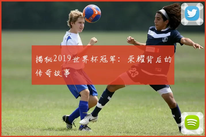 揭秘2019世界杯冠军：荣耀背后的传奇故事