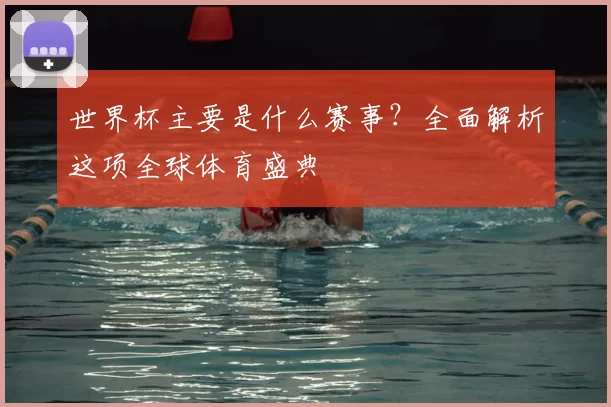 世界杯主要是什么赛事？全面解析这项全球体育盛典