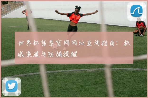 世界杯售票官网网址查询指南:权威渠道与防骗提醒