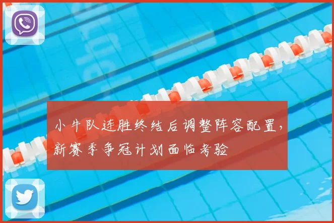 小牛队连胜终结后调整阵容配置，新赛季争冠计划面临考验