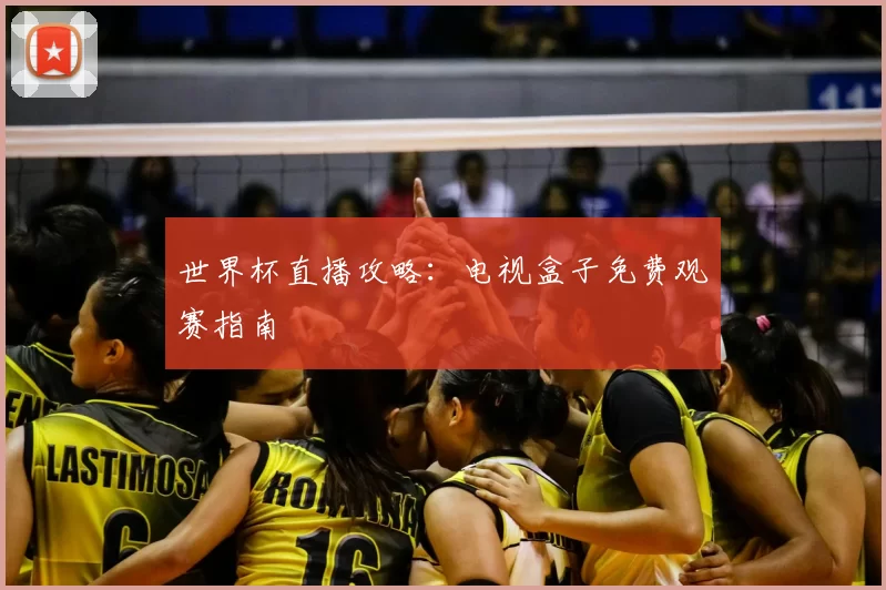 世界杯直播攻略：电视盒子免费观赛指南