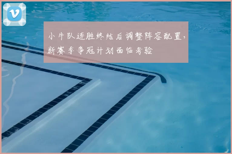 小牛队连胜终结后调整阵容配置，新赛季争冠计划面临考验