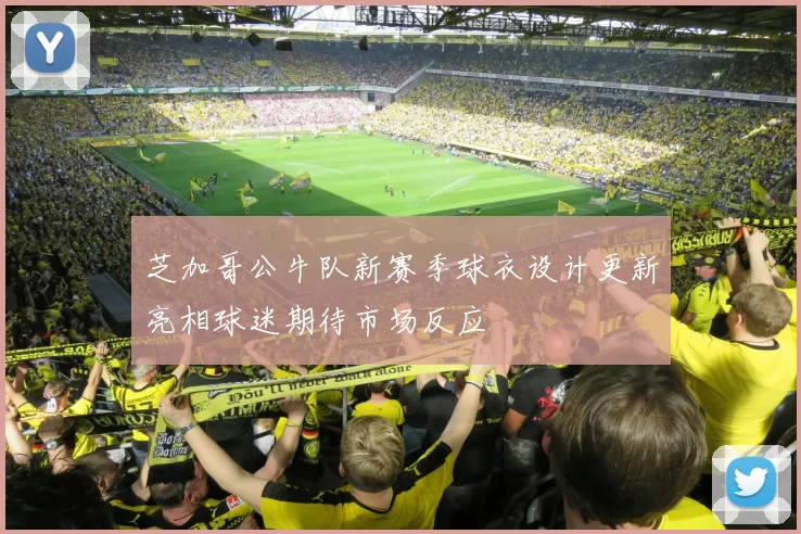 芝加哥公牛队新赛季球衣设计更新亮相球迷期待市场反应