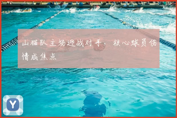 山猫队主场迎战对手，核心球员伤情成焦点