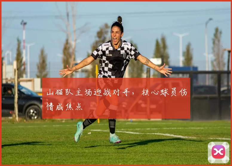 山猫队主场迎战对手，核心球员伤情成焦点