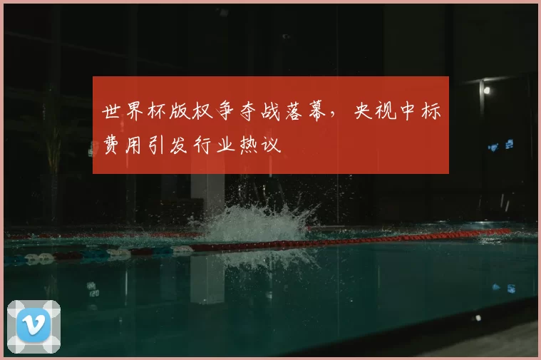 世界杯版权争夺战落幕,央视中标费用引发行业热议