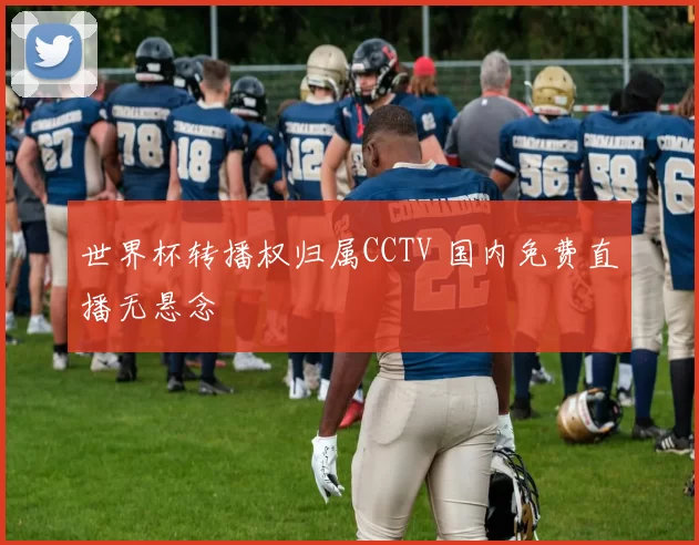 世界杯转播权归属CCTV 国内免费直播无悬念