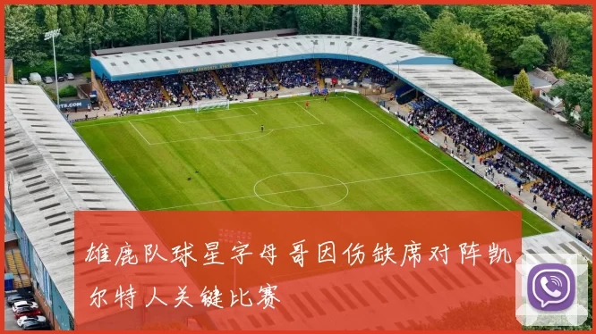 雄鹿队球星字母哥因伤缺席对阵凯尔特人关键比赛