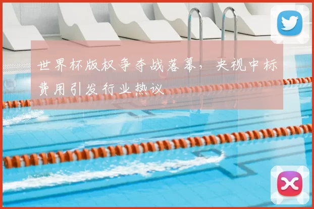 世界杯版权争夺战落幕，央视中标费用引发行业热议