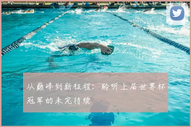 从巅峰到新征程:聆听上届世界杯冠军的未完待续