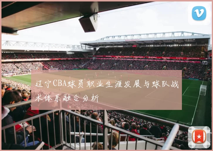 辽宁CBA球员职业生涯发展与球队战术体系融合分析